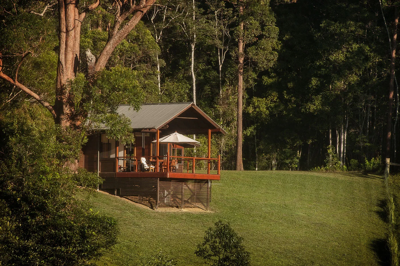 The Ridge with sun umbrella — contemporary timber architecture on green hillside