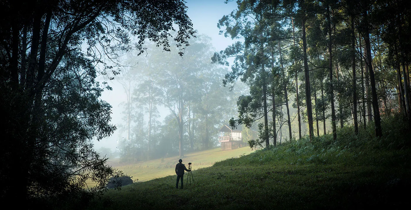 Sweeping view of the Bellinger Valley — green pastures rolling toward the Dorrigo escarpment under soft afternoon light