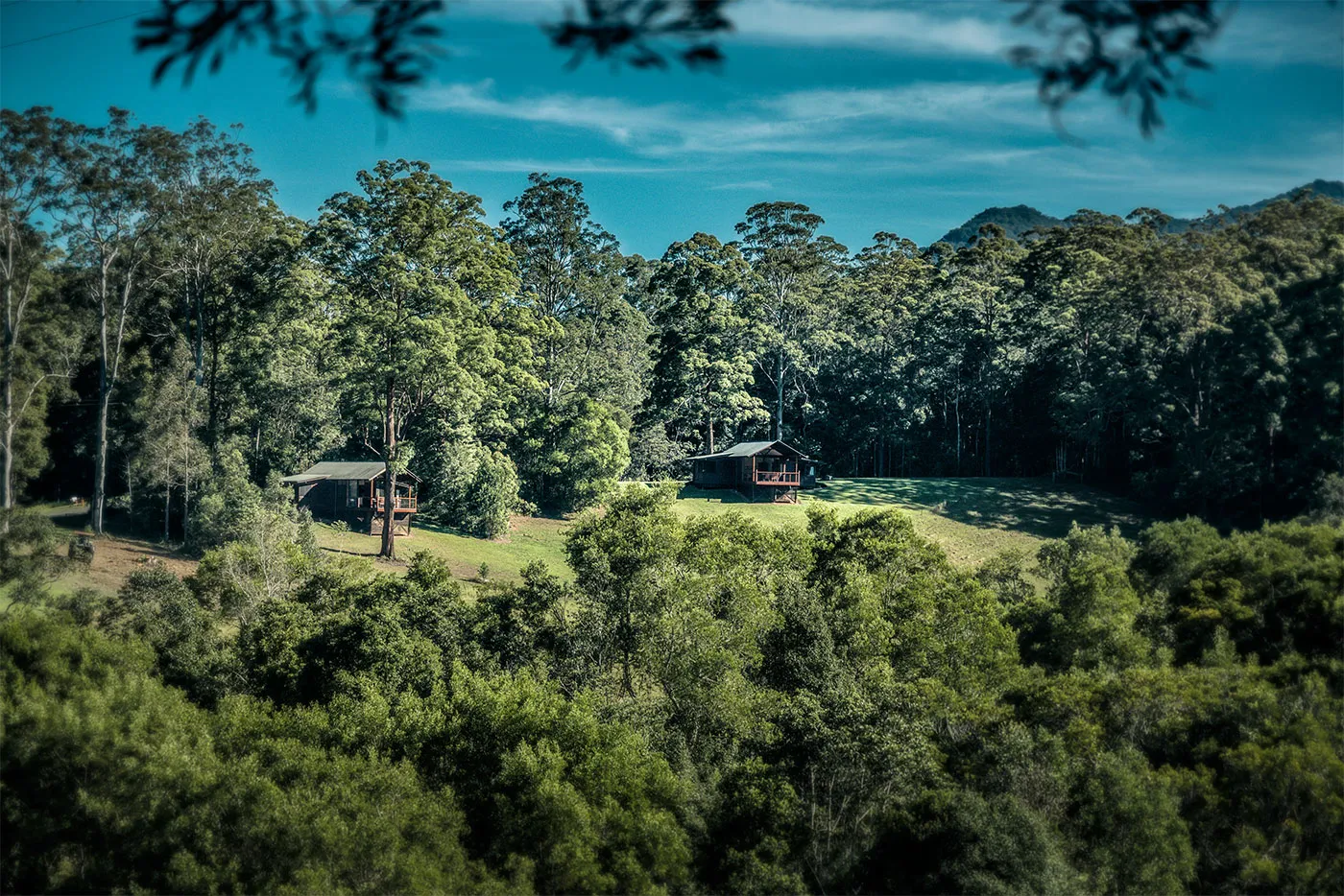 Two timber chalets on a green hillside with the Dorrigo Range rising behind under blue sky