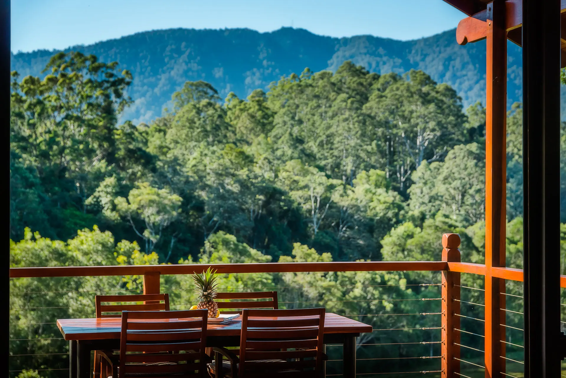 View from inside Tallowood — mountains through the glass